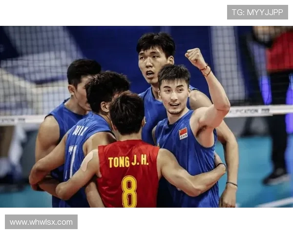 杭州排球队灵活性引发热议球迷与专家各执己见探讨争议背后真相