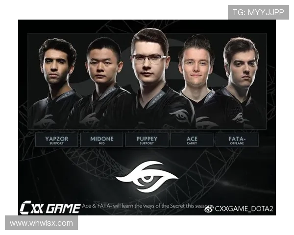 TES战队的整体压制体系解析与DOTA2战术应用探讨