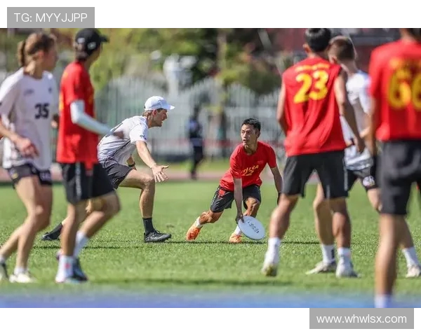 成都飞盘队创下新纪录耐力排名跃升引发热议与关注